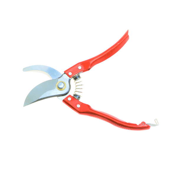 Garden scissor 8”